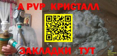 СК Новодвинск