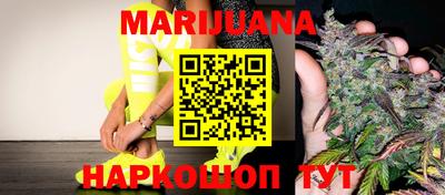 мдпв Новозыбков