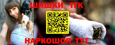 СК Новодвинск