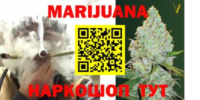 мдпв Новозыбков