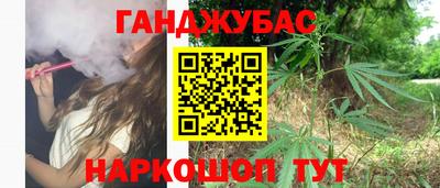 СК Новодвинск