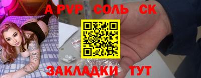 СК Новодвинск