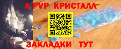 СК Новодвинск