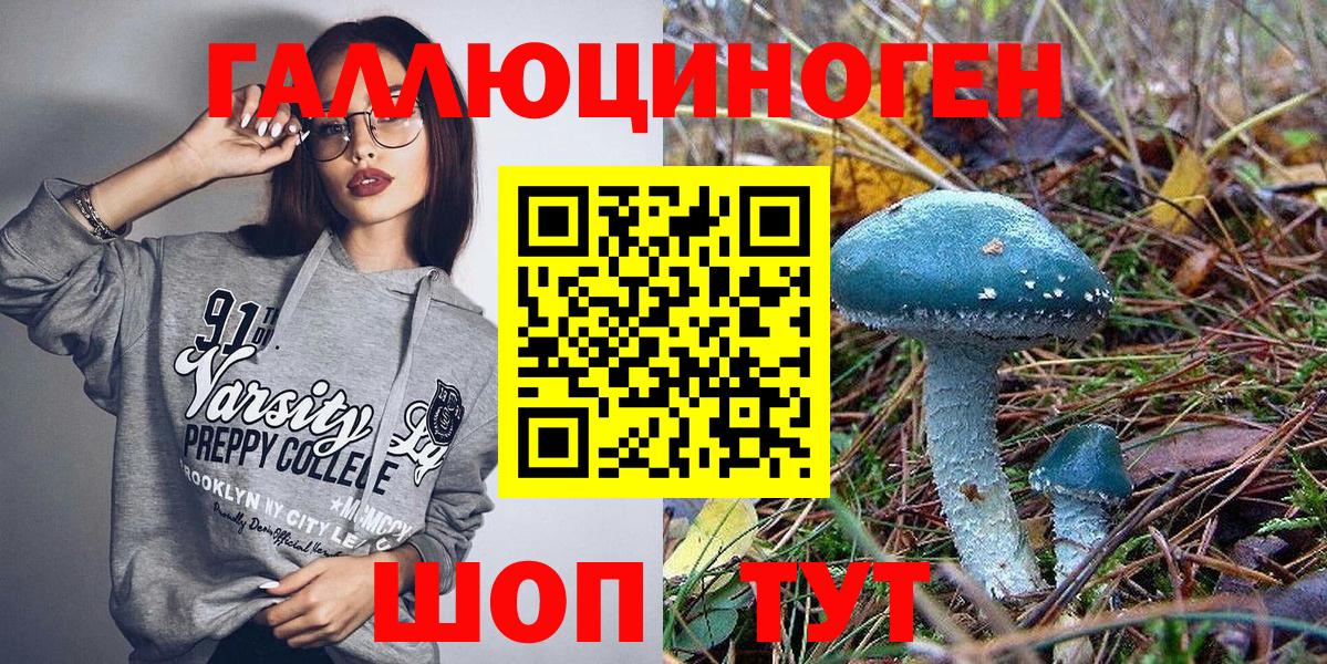 Псилоцибиновые грибы Psilocybine cubensis Трёхгорный