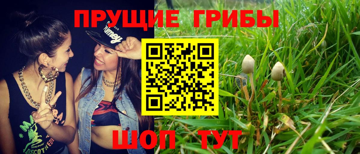 Трёхгорный  Псилоцибиновые грибы MAGIC MUSHROOMS  Галлюциногенные грибы Cubensis  Вход с VPN 